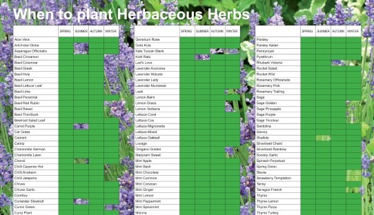 Herbaceous Handout_Herbs only_Icon
